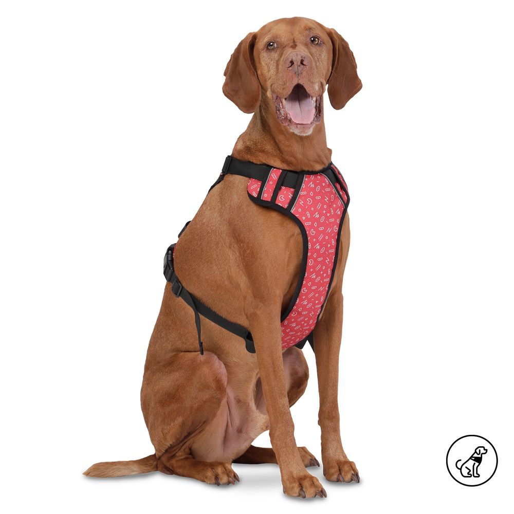 Arnes De Caminata Pechera Heikul – Rojo – Estampado