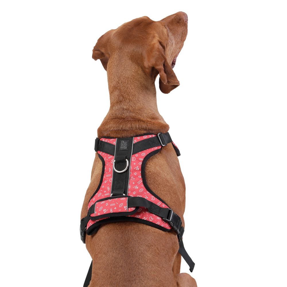 Arnes De Caminata Pechera Heikul – Rojo – Estampado - Imagen 2