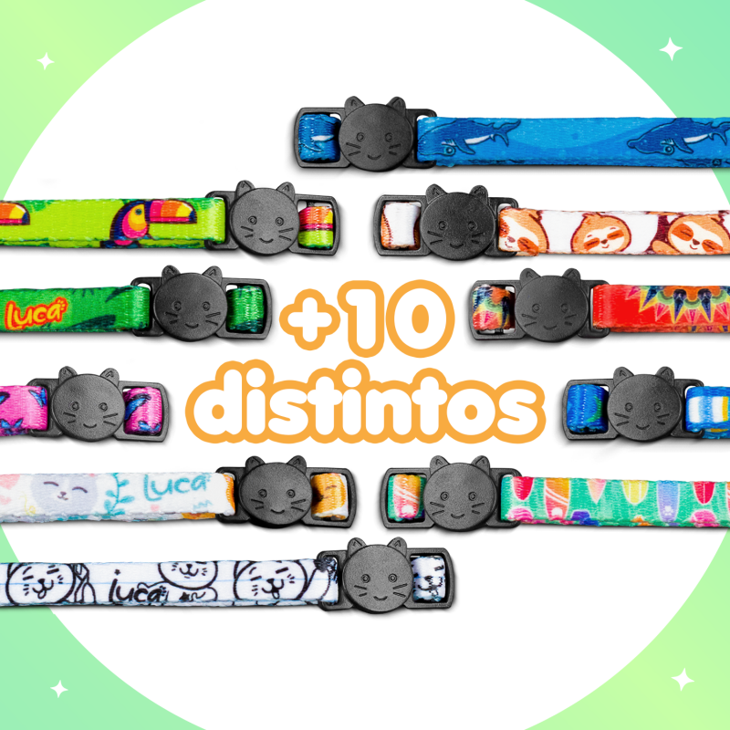 Collar para Gato – Carreta – Luca - Imagen 4