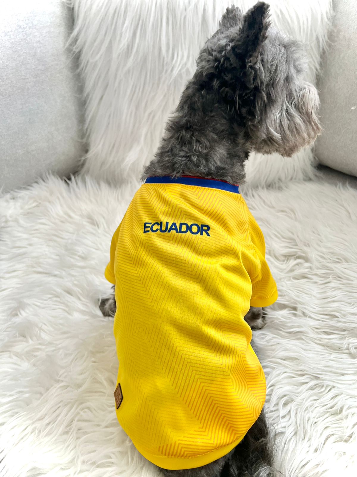 Camiseta de la Selección Tricolor Ecuador para perro - Imagen 6